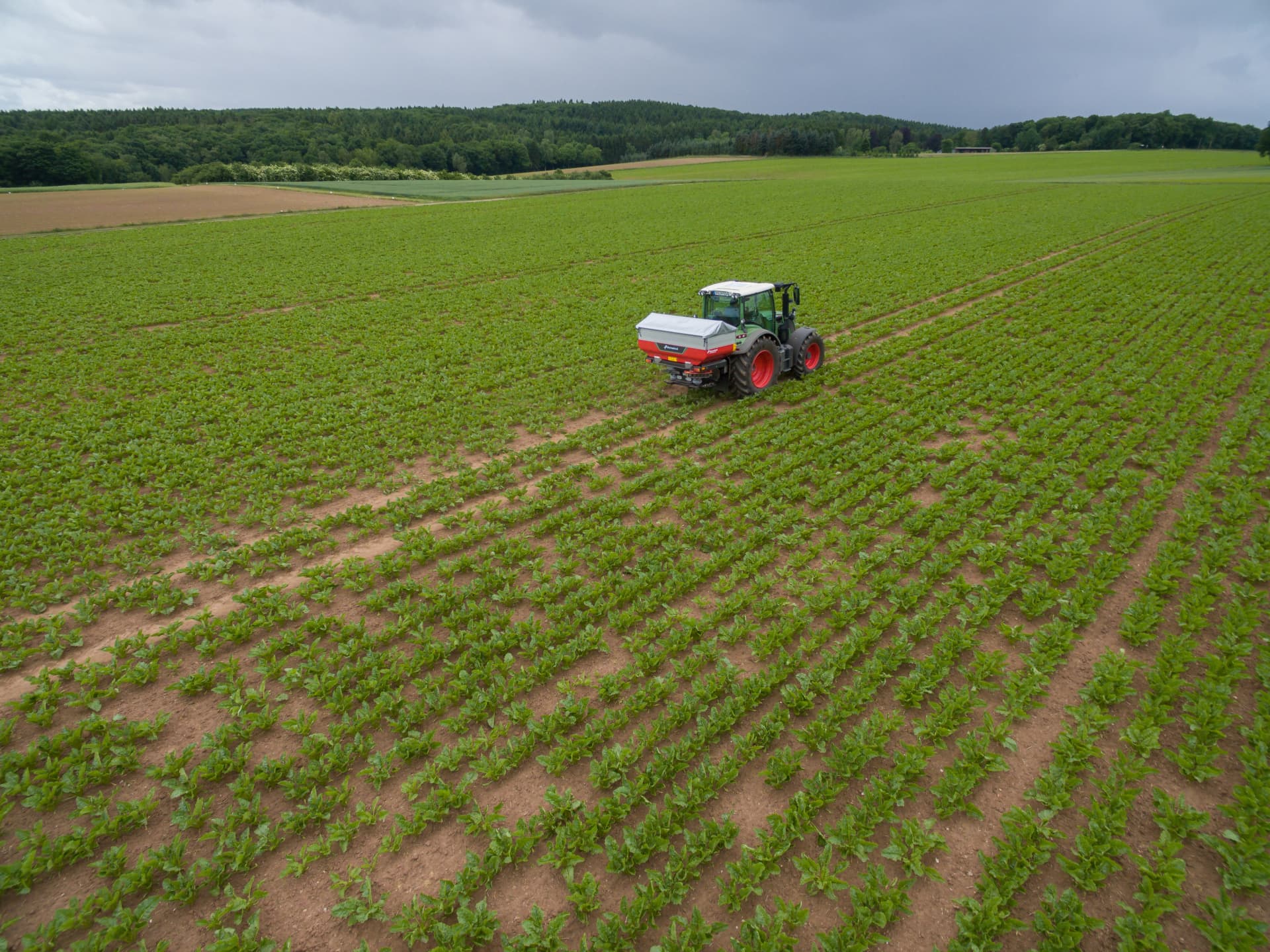 Exacta CL GEOSPREAD 1
